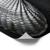 Angel Wings BW Poster (Hoek)