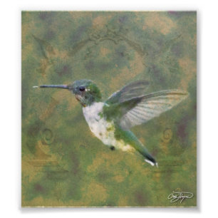 Angel Wings Series Foto Afdruk