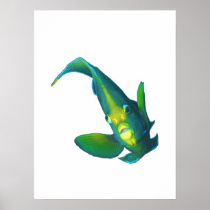 Angelfish - Abstract Design - Knippen uit een foto Poster