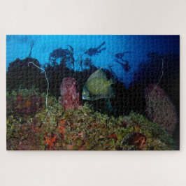Angelfish and Divers from Below 20"x30" Legpuzzel
