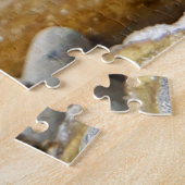 Angelfish Keepers Freshwater Aquarium Legpuzzel (Zijkant)