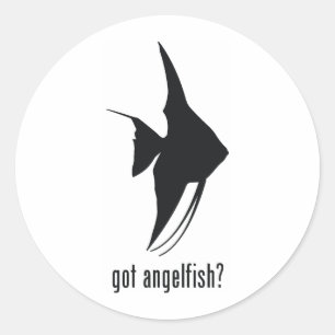 Angelfish Ronde Sticker
