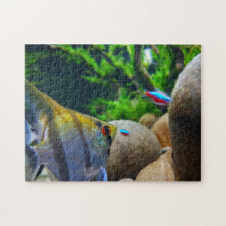 Angelfish Tropical Fish Tank Legpuzzel
