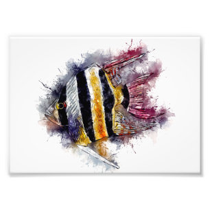 AngelFish Waterverf Aquarium Zee Creature Artwork Foto Afdruk