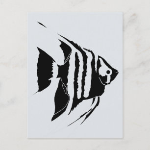 Angelfish. Zwart-Wit. monochroom Briefkaart