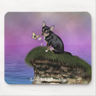 AngelPearlGirl Chihuahua 3A Muismat