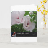 Angels Kaart (Gele Bloem)