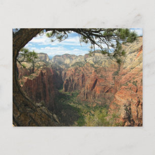 Angels Landing Briefkaart