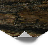 Angels Landing Poster (Hoek)