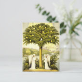 angels temps passé carte postale (Debout devant)