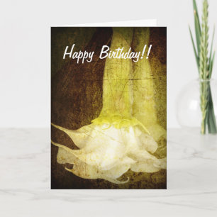 Angel's Trumpet Birthday Card Kaart