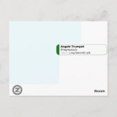 Angels Trumpet Brugmansia Briefkaart (Achterkant)