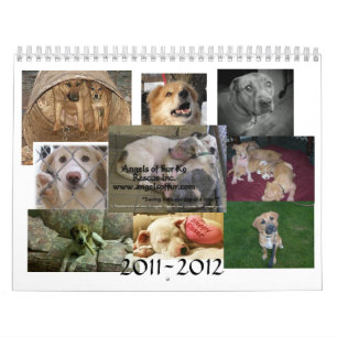 Angels van Fur Calendar 12m 6/11-5/12 Kalender