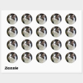 Anges Avec Stickers Whiskers (chaton) (Feuille)
