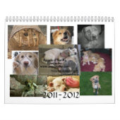 Anges du calendrier 12m 6/11-5/12 de fourrure (Protection)