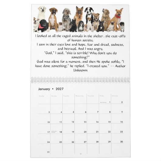 Anges du calendrier 12m 6/11-5/12 de fourrure (Jan 2027)