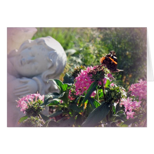 Anges et miracles (Devant horizontal)