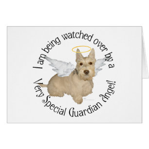 Anges Wheaten Scottish Terrier