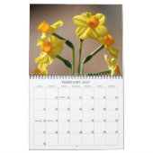 Angie's Garden 2008 Calendrier (Feb 2027)