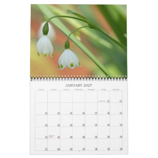 Angie's Garden 2008 Calendrier (Jan 2027)