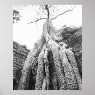 Angkor Cambodja, Boom Ta Prohm Poster