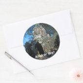 Angkor wat, Ta som temple - Cambodja, Azië Ronde Sticker (Envelop)