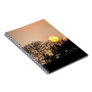 Angkor Wat Zonsopgang Spiraal Notebook Notitieboek