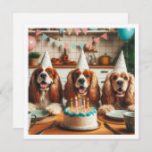 Anglais Cocker Carte Espagnol, Anniversaire Espagn (Devant / Derrière)
