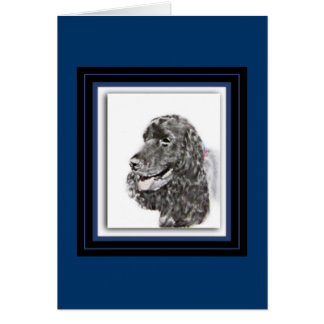 Anglais Cocker Spaniel