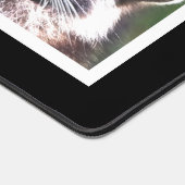 Anglais Espagnol Chien et Raccoon Photos personnal (Coin)