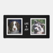 Anglais Espagnol Chien et Raccoon Photos personnal (Recto)