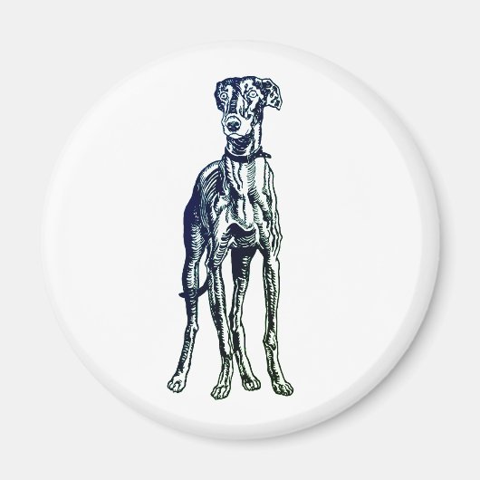 Anglais Greyhound Breed Magnet (Devant)