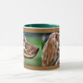 Anglais Setter Art Cadeaux Mugs (Centre)