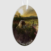 Anglais Setter, Chasse de faisan (devant)