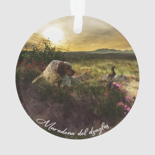 Anglais Setter, Chasse de faisan (dos)