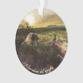 Anglais Setter, Chasse de faisan (devant)