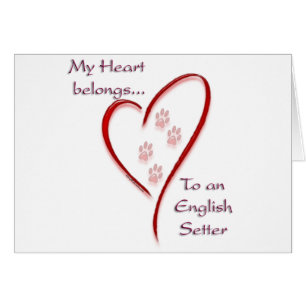 Anglais Setter Heart Belongs