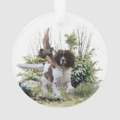 Anglais Springer Spaniel (dos)