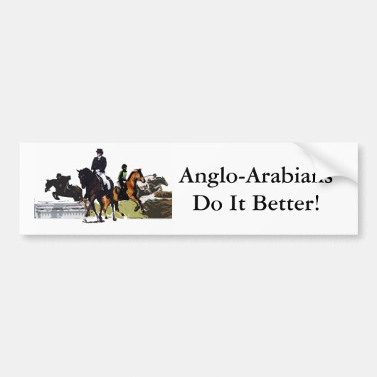 Anglo-Arabische Bumpersticker (Voorkant)
