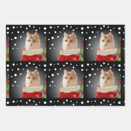 Angora Cat Holiday Inpakpapier Vel