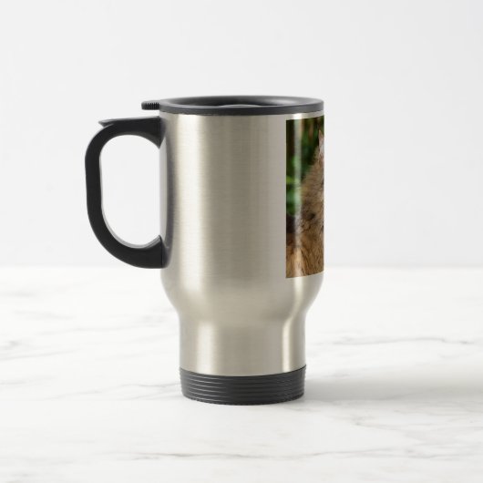 Angora cat reisbeker (Links)