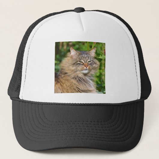 Angora cat trucker pet (Voorkant)