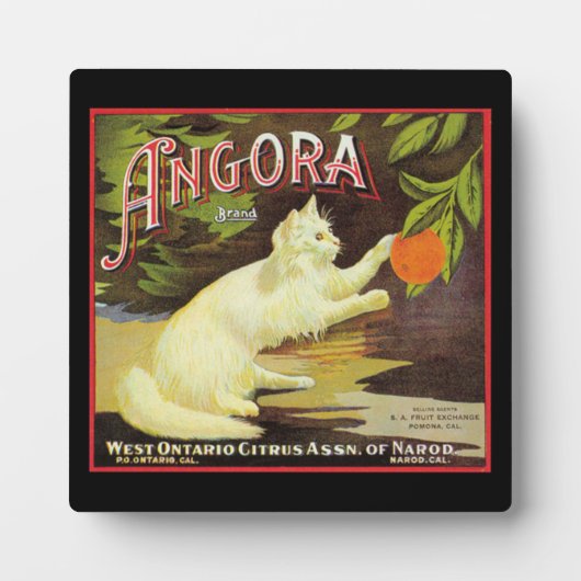 Angora White Cat Citrus Fruit Label Fotoplaat (Voorkant)