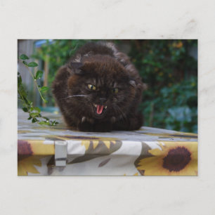Angry Black Cat Briefkaart