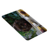 Angry Black Cat Magneet (Rechterzijde)