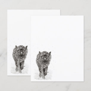 Angry Black Wolf in sneeuw, wilde winter