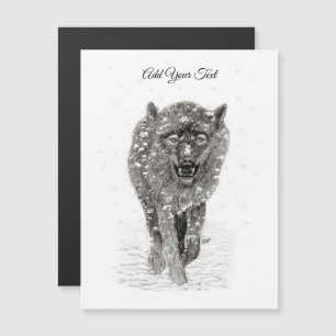 Angry Black Wolf in sneeuw, wilde winter