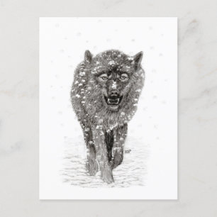 Angry Black Wolf in sneeuw, wilde winter Briefkaart