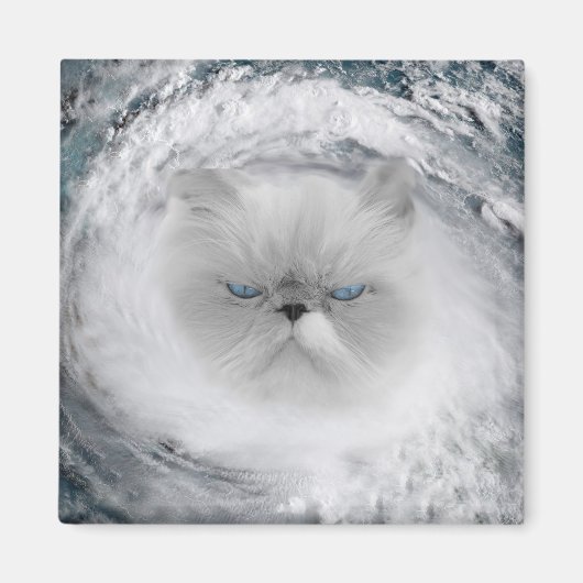 Angry Cat 5 orkaan Magneet (Voorkant)