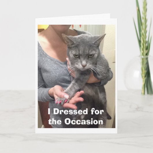 Angry Cat Birthday Card Kaart (Voorkant)